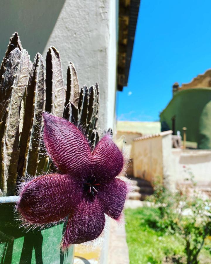El Convento De Tilcara Bed & Breakfast Bagian luar foto